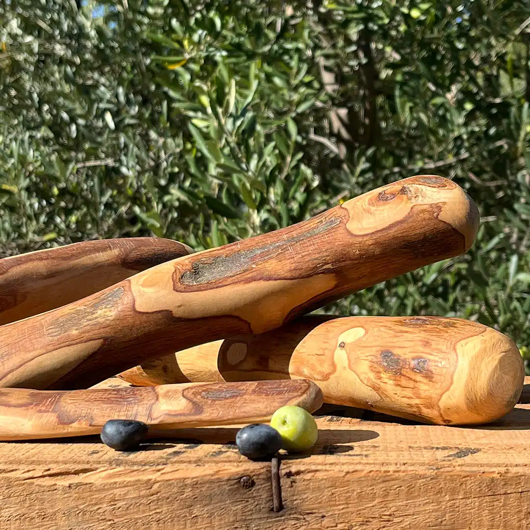 Olive wood sticks from Tunisian olive grove