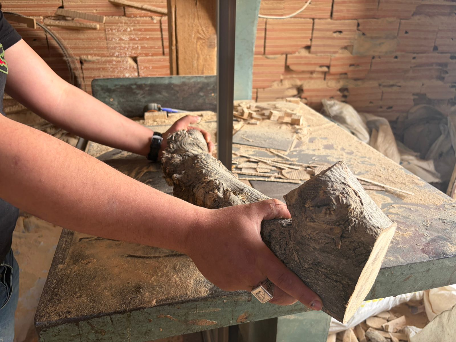 Artisan selecting a rough olive wood root in a workshop