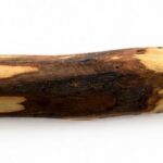 Olive Wood Chew Stick — Size M — image 3