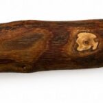 Olive Wood Chew Stick — Size M — image 4